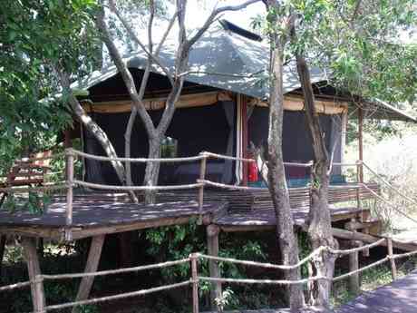 Mara Plains Camp